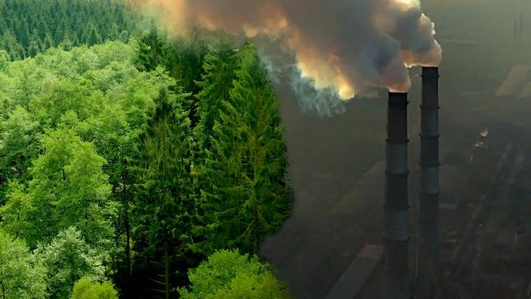 CO2: Lebenselixier und Klimakiller