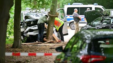 Mitarbeiter der Unfallforschung betrachtet das Fahrzeug, das in einem Baum im Bereich des Tiergartens gefahren ist.