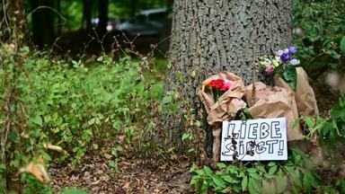 Ein Schild mit der Aufschrift "Liebe siegt!" liegt vor Blumen an einem Baum, nahe einem abgesperrten Bereich des Tiergartens, wo ein Fahrzeug einen Baum gerammt hatte. 