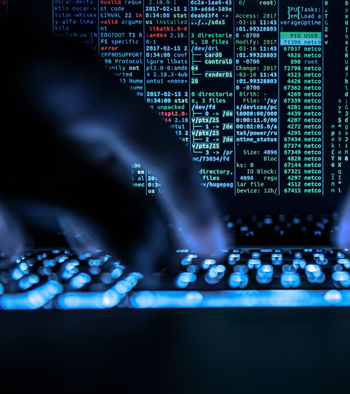 Symbolbild: Ein Mann tippt auf der beleuchteten Tastatur eines Laptops. Auf dem Bildschirm ist ein Hackerprogramm geöffnet. 