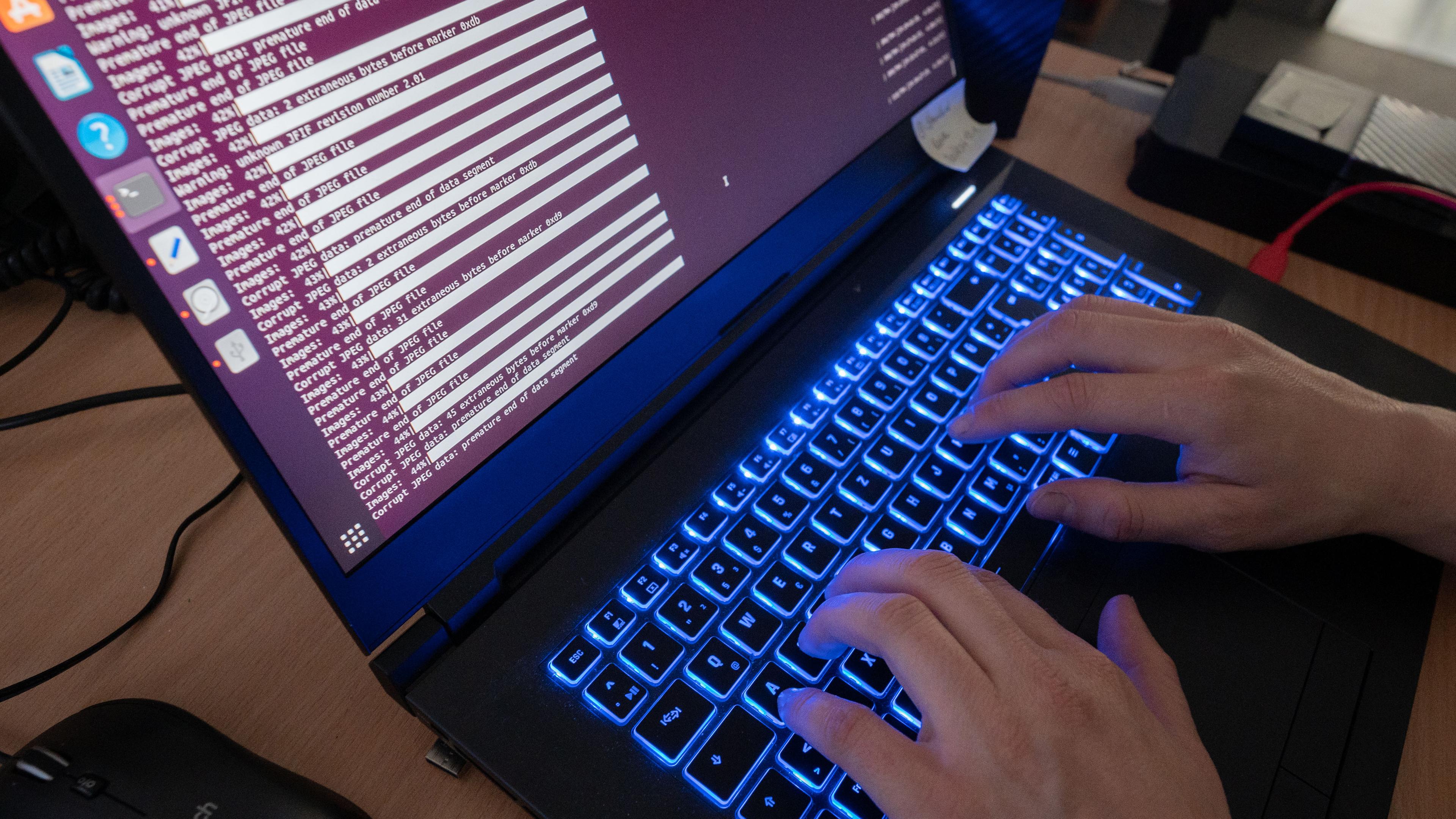 Archiv:  Eine Wissenschaftlerin eines Landeskriminalamts arbeitet an Computerbildschirmen.