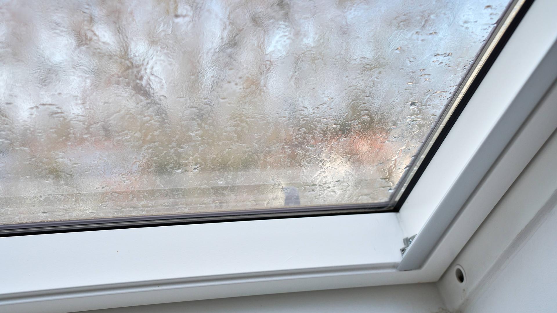 Ein beschlagenes Dachfenster innen zeigt Feuchtigkeitsprobleme und Kondenswasser.
