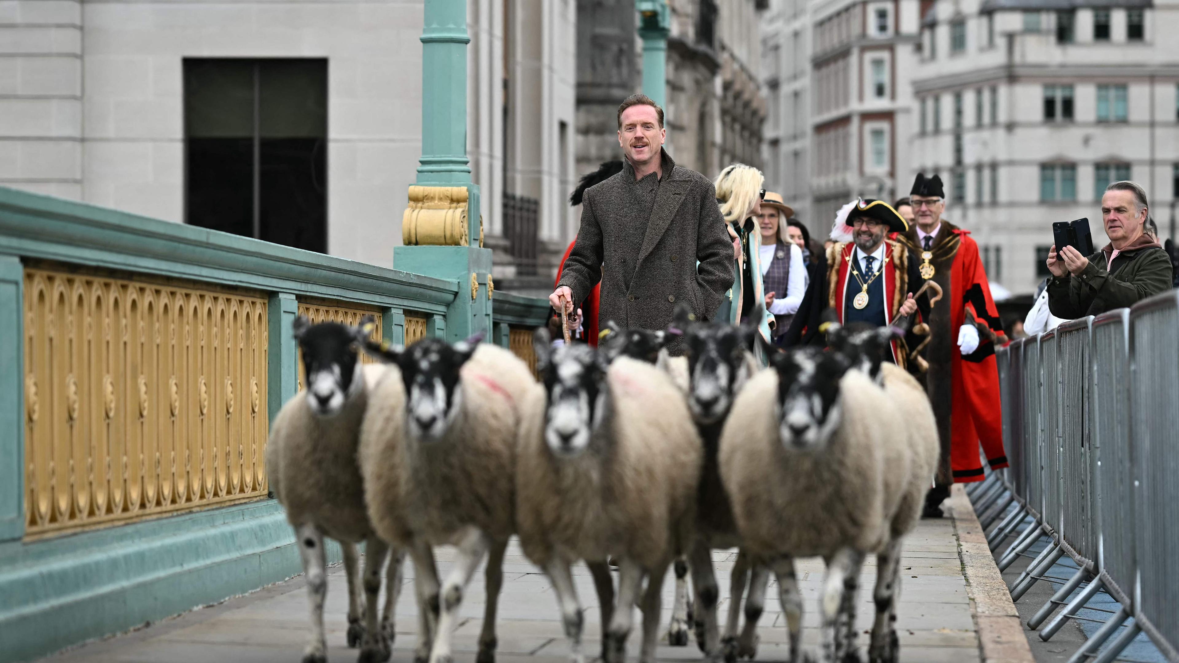 Schauspieler Damian Lewis treibt Schafe über die Londoner Southwark Bridge