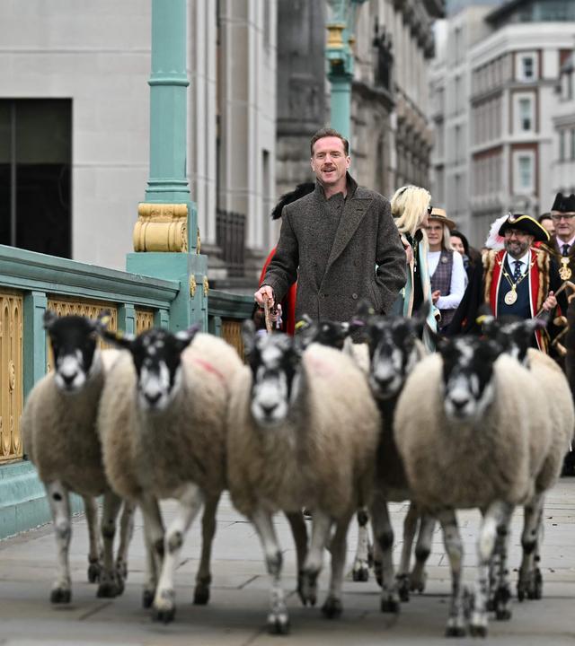 Schauspieler Damian Lewis treibt Schafe über die Londoner Southwark Bridge