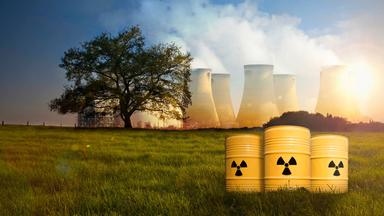 Montage: Auf einer Wiese stehen im Vordergrund drei Atommülltonnen, im Hintergrund steht links ein Baum und rechts mehrere qualmende Atommeiler.