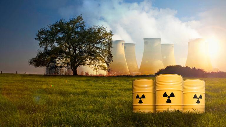 Montage: Auf einer Wiese stehen im Vordergrund drei Atommülltonnen, im Hintergrund steht links ein Baum und rechts mehrere qualmende Atommeiler.