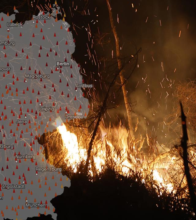 Waldbrand: Harz, Schierke, Sachsen-Anhalt