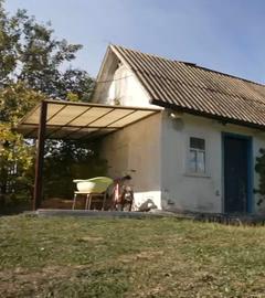Ein kleines Haus im Grünen bei Sonnenschein.