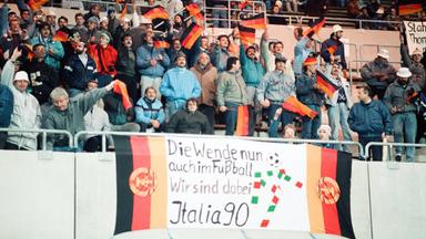 DDR Fans