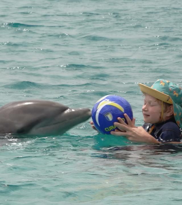 Ein Mädchen ist mit einem Trainer im Wasser und hält einen Ball an die Nase eines Delphins