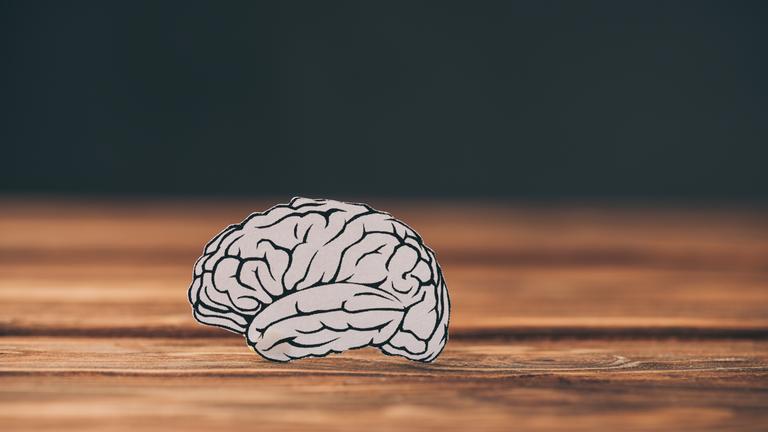 Ein Gehirn aus Papier auf einem holzernen Untergrund