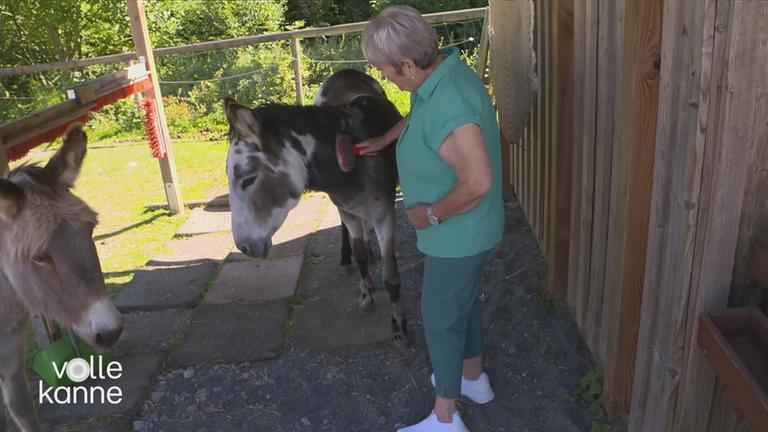 Bewohnerin des Demenzdorfes streichelt ein Tier