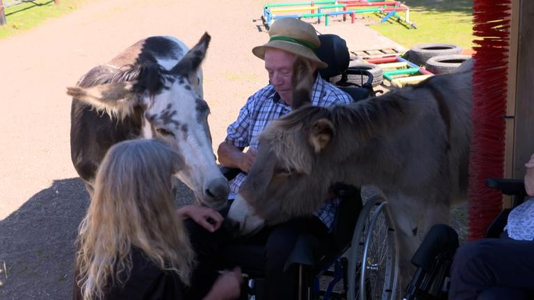 Ein Mann in einem Rollstuhl ist zu sehen, um ihm herum sind zwei Kühe und vor ihm ist ein kleines Mädchen mit blonden Haaren.