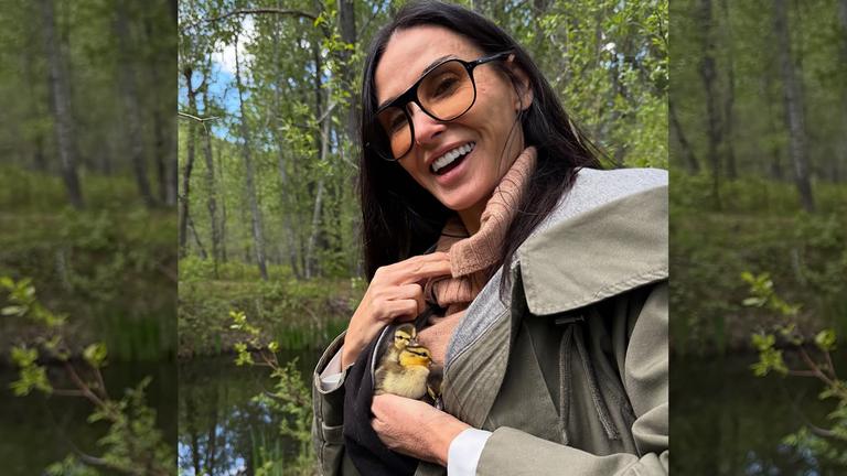 Drei kleine verwaiste Küken sind bei der Schauspielerin eingezogen. Der Tierarzt helfe dabei, sie durchzubringen, schreibt sie auf Instagram. "Es ist ein chaotisches Vergnügen." (06.06.2025)