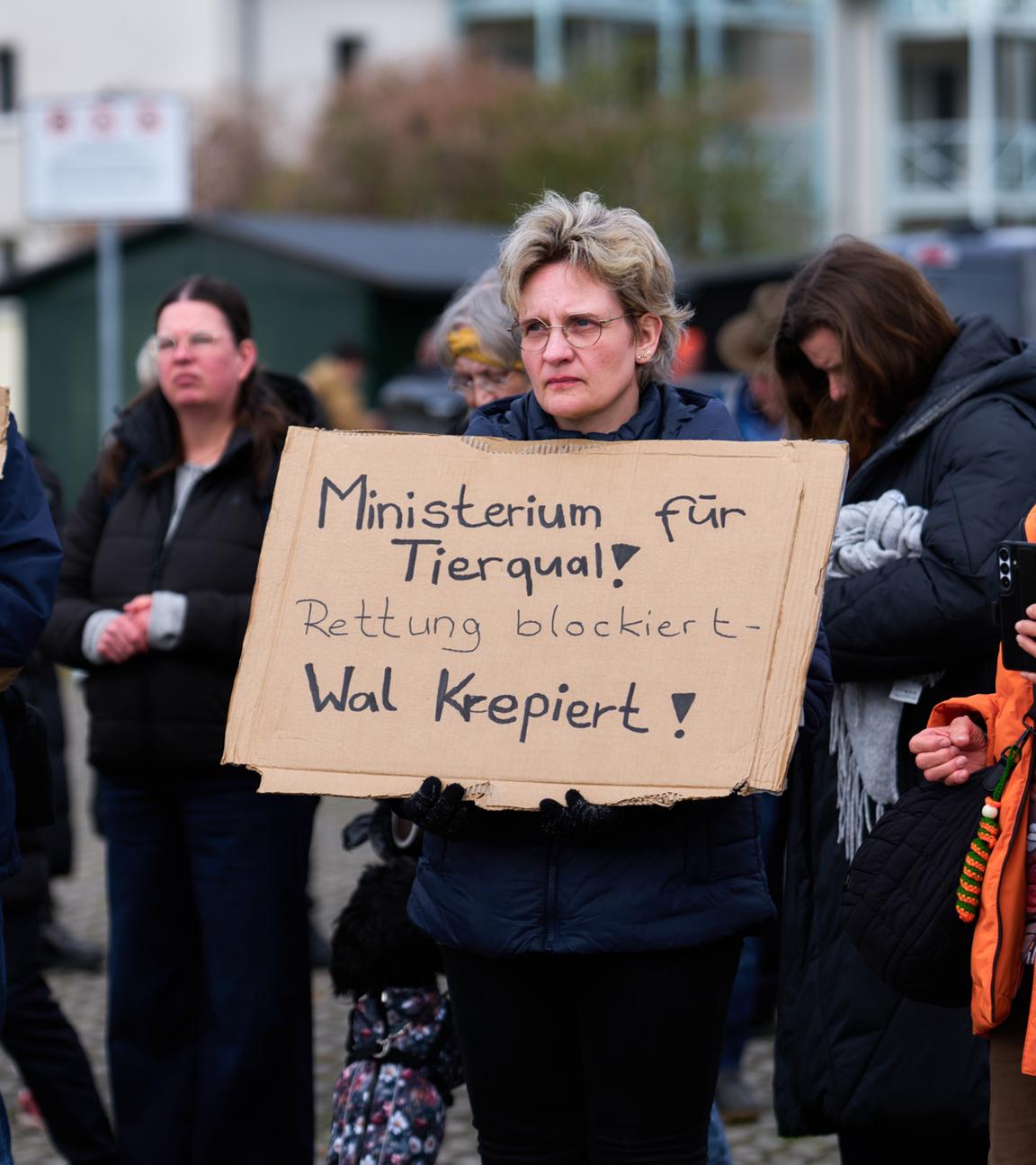 Demonstranten setzen sich für Walrettung ein