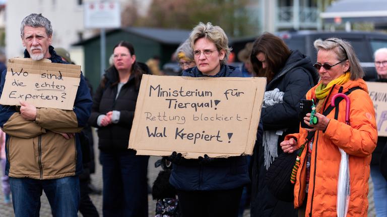 Demonstranten setzen sich für Walrettung ein