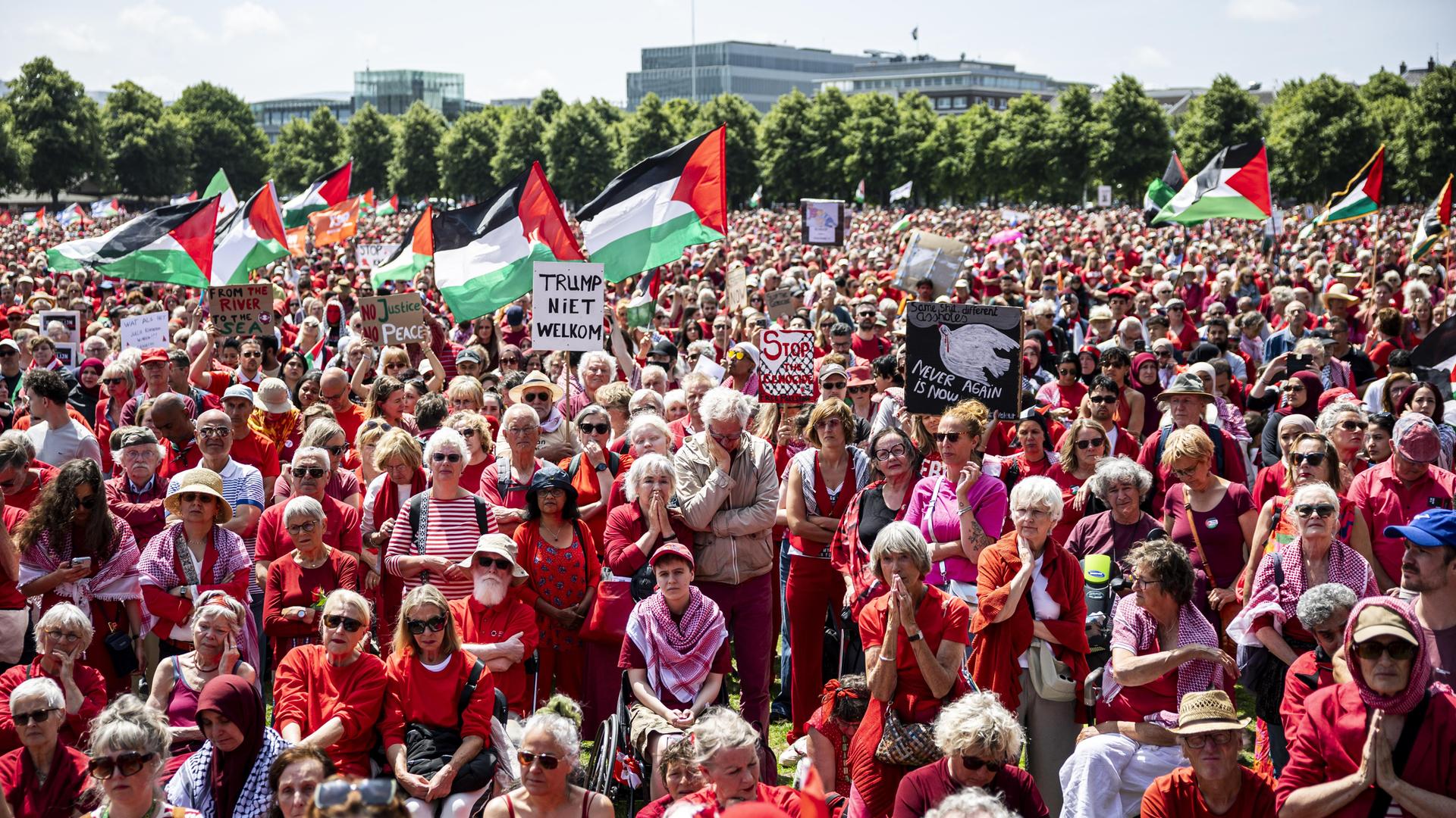 Demonstranten versammeln sich in Den Haag zu einer „Red Line“-Demonstration.