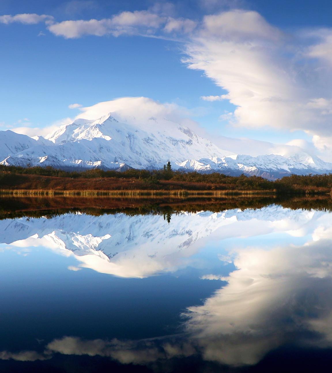 Denali-Nationalpark in Alaska