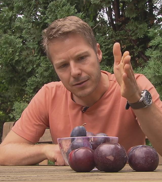 Florian Weiss sitzt an einem Tisch auf dem Pflaumen liegen.
