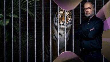 Harald Lesch steht neben Tiger im Käfig