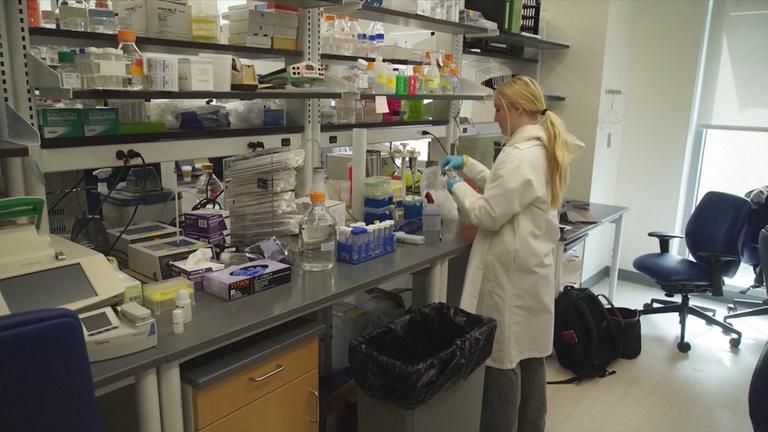 Deutsch-amerikanische Forschung