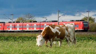 Niedersachsen, Hannover: Ein Regionalzug der DB Regio der Deutschen Bahn fährt über eine Bahntrasse bei Immensen in der Region Hannover