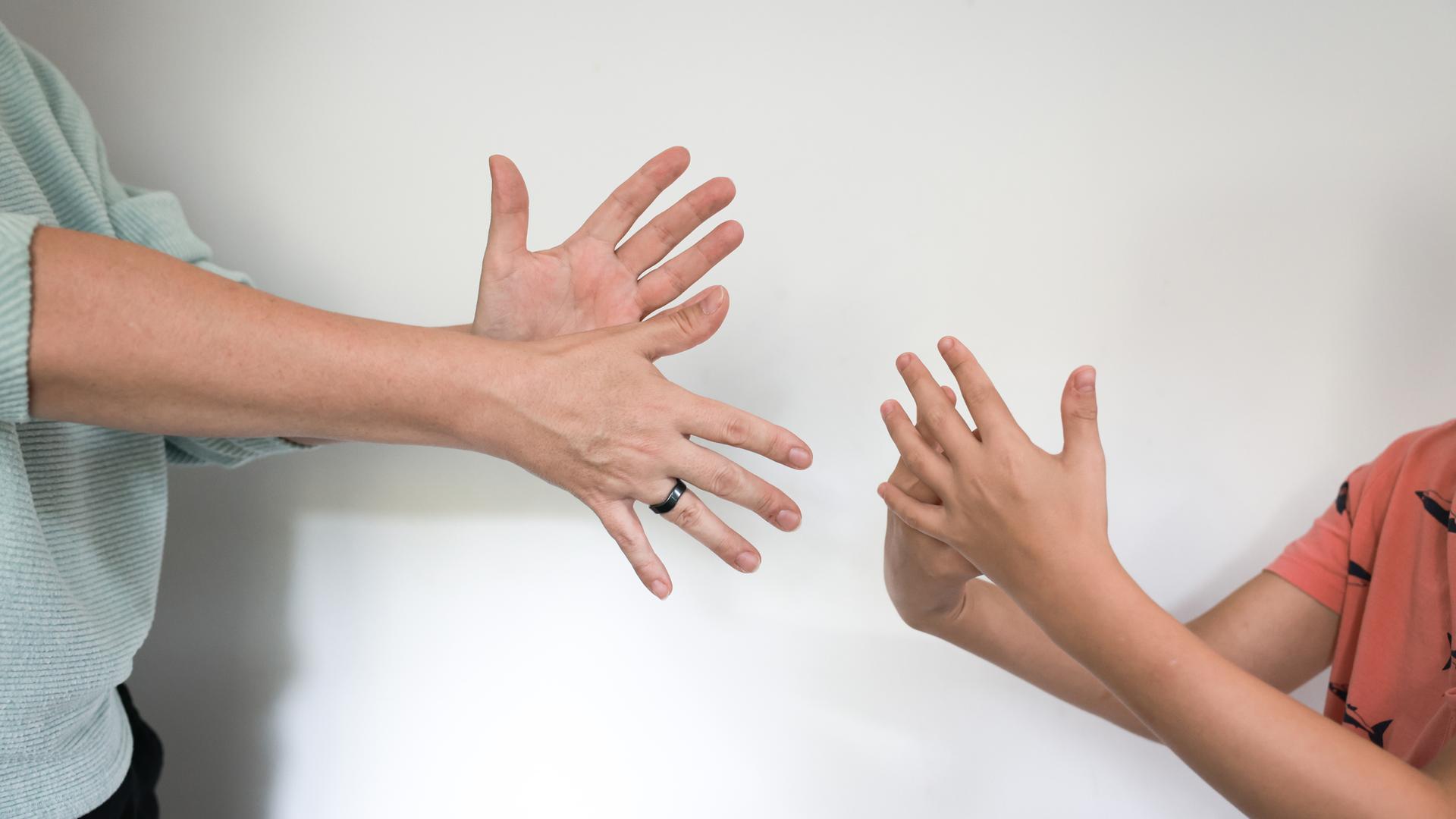 Symbolbild davon, wie zwei Menschen in Gebärdensprache miteinander sprechen.