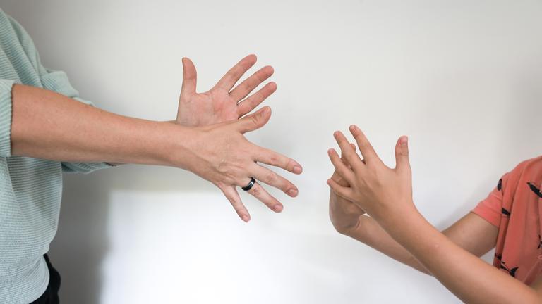 Symbolbild davon, wie zwei Menschen in Gebärdensprache miteinander sprechen.