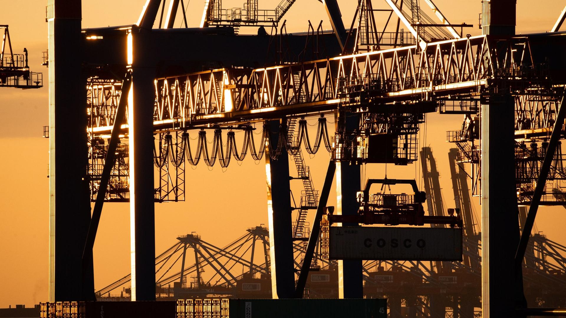 Ein Containerschiff der China Ocean Shipping Company (COSCO) wird am Containerterminal Tollerort der Hamburger Hafen und Logistik AG (HHLA) entladen. 