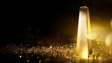 Der deutsche Fernsehpreis 