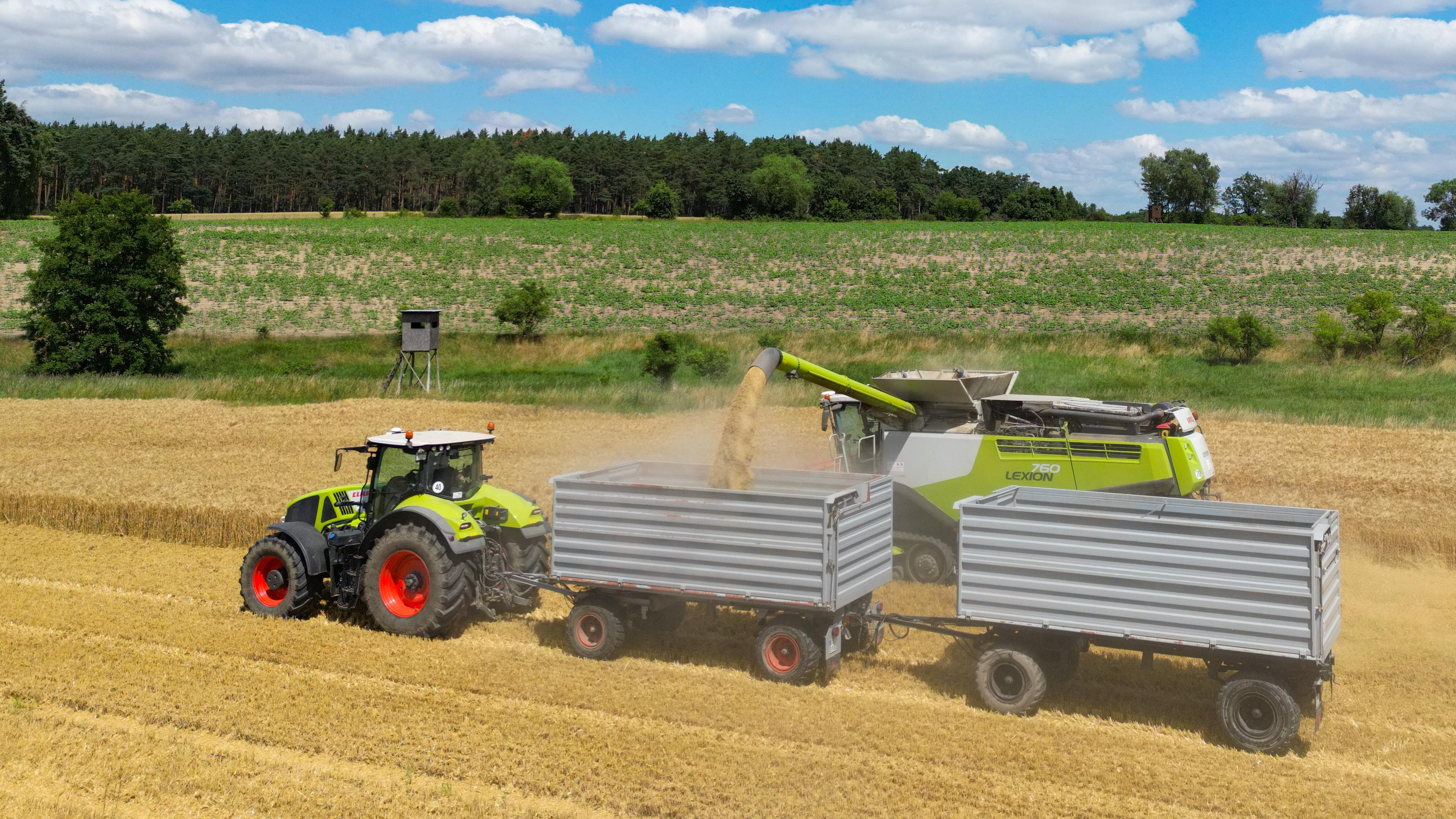Traktor auf Feld