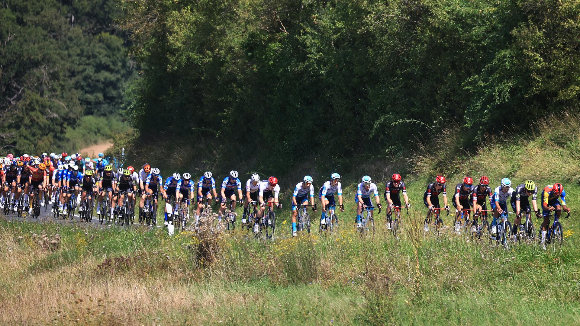 Das Peloton auf der ersten Etappe der Deutschland Tour