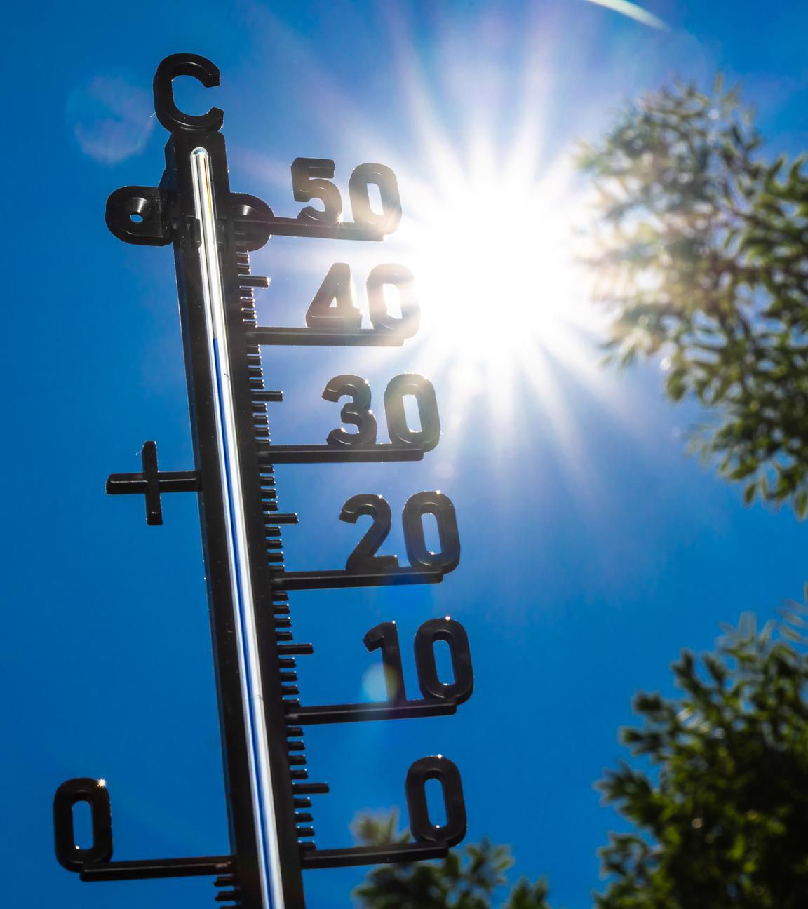 Ein Thermometer zeigt über 30 Grad bei strahlender Sonne, umgeben von Bäumen