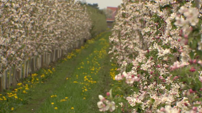 Deutschlandreise Altes Land
