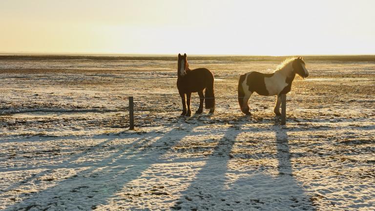 Deutschlandreise-Baltrum