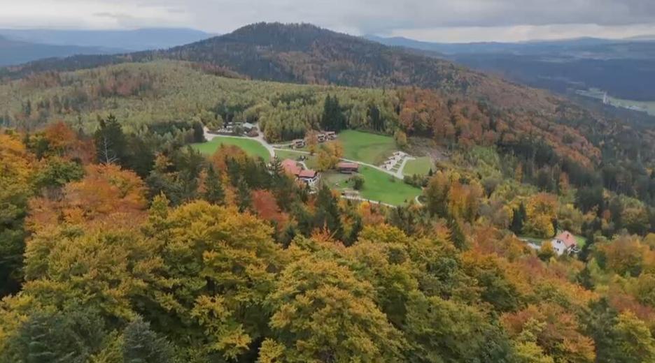 Deutschlandreise Bayerischer Wald