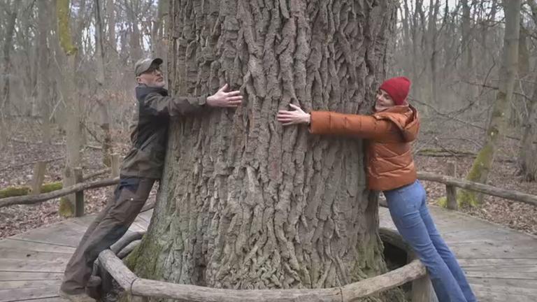 Deutschlandreise-Hainich