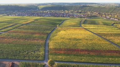 Deutschlandreise nach Franken - Weinberge