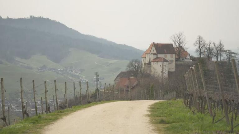 Deutschlandreise Ortenau