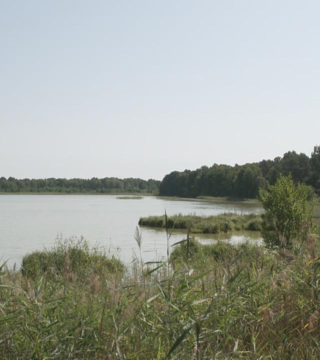 Deutschlandreise Uckermark, Seenlandschaft bei Lychen