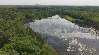 Deutschlandreise Wälder im Pott