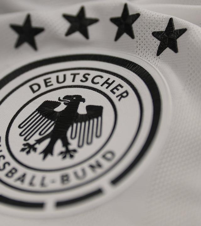 DFB-Logo