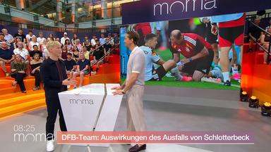dfb-rene-adler-experte-