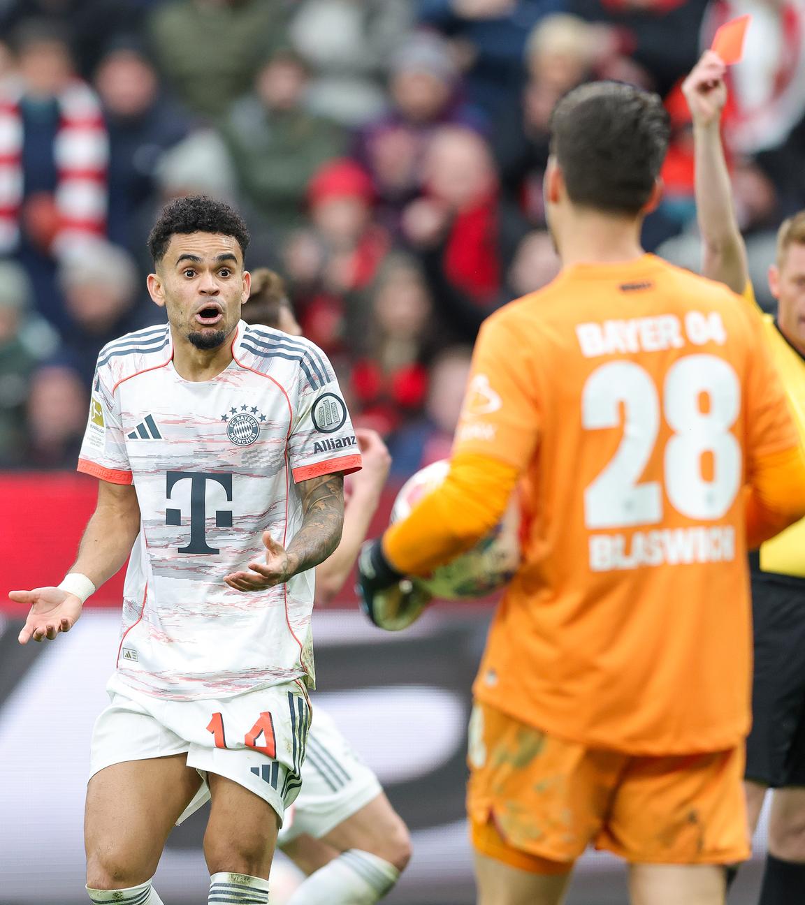 Bayerns Flügelspieler Luis Diaz bekommt nach einer Schwalbe in der Bundesligapartie gegen Bayer Leverkusen die gelb-rote Karte