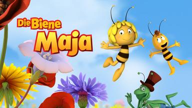 Die Biene Maja 