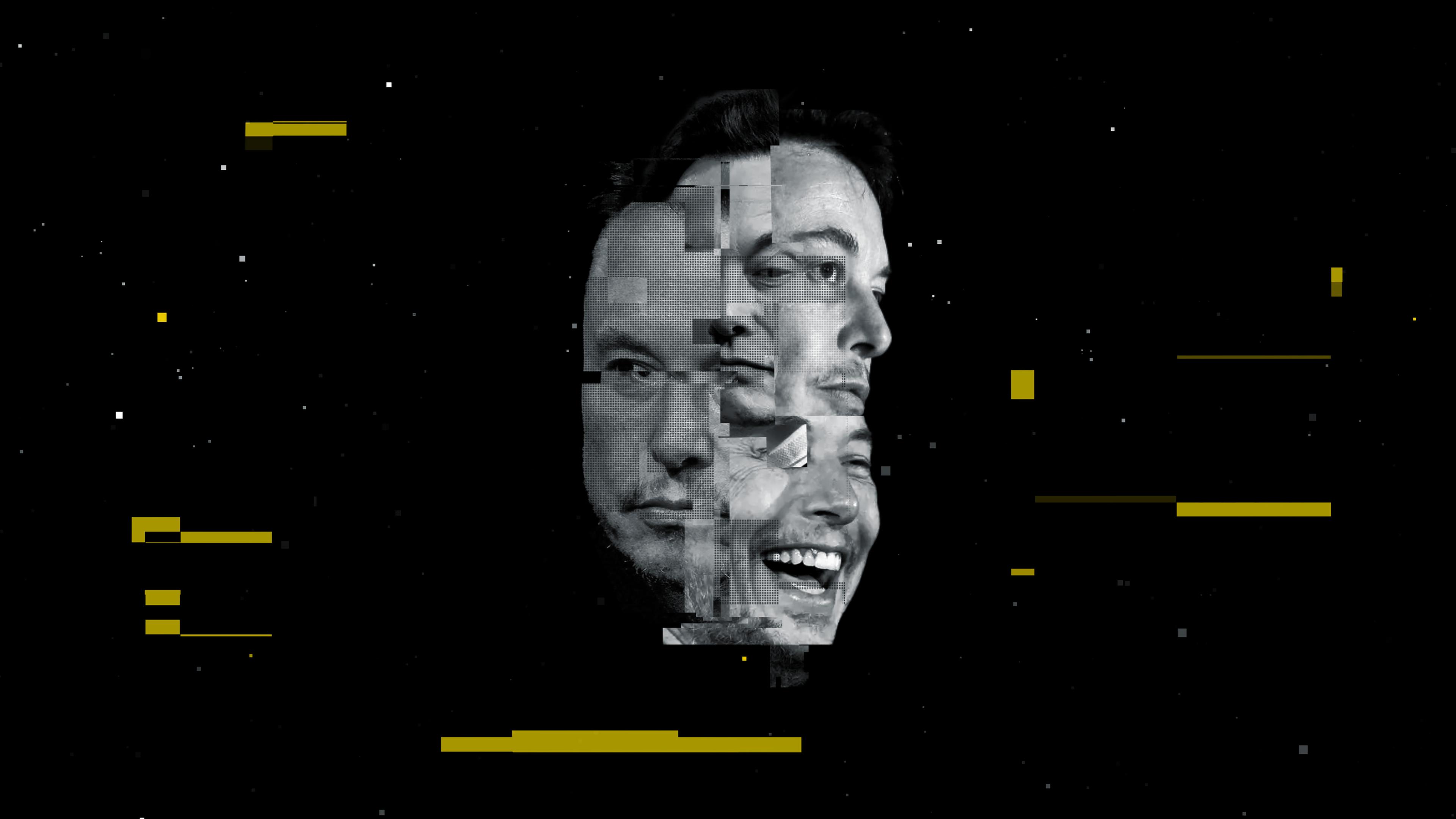 Die Elon-Musk-Story