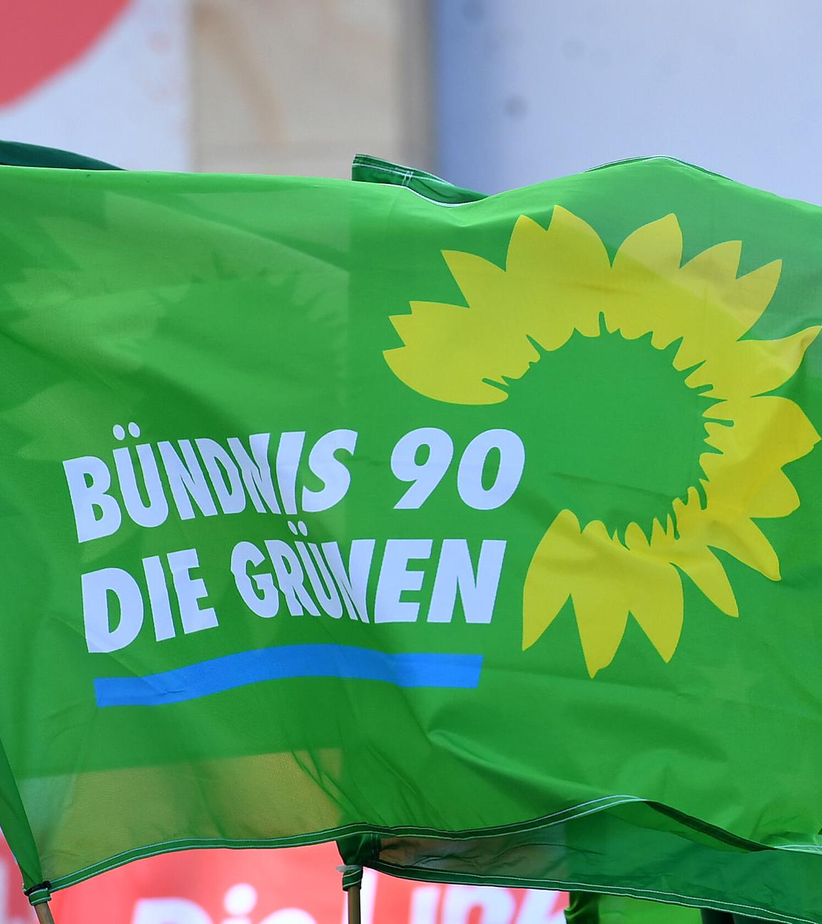Fahnen der Partei die Grünen