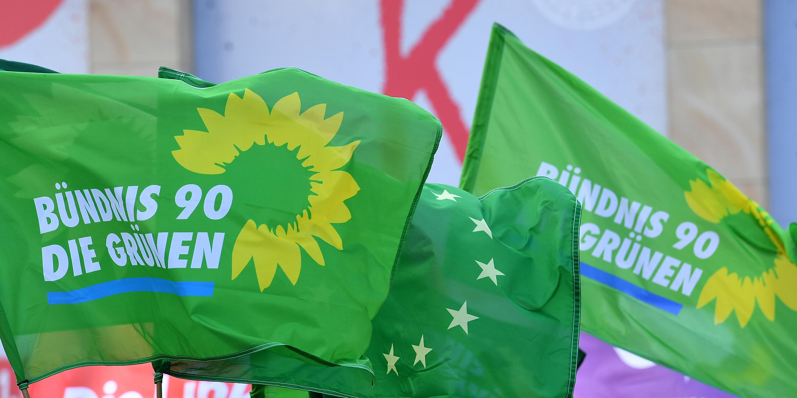 Fahnen der Partei die Grünen