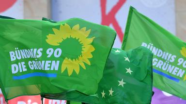 Fahnen der Partei die Grünen