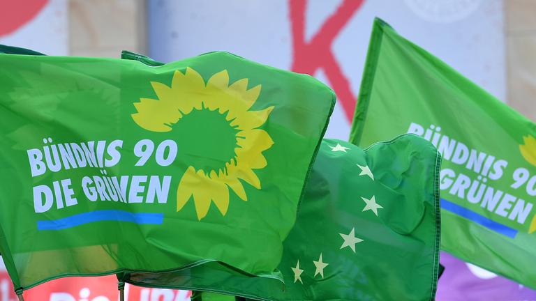 Fahnen der Partei die Grünen